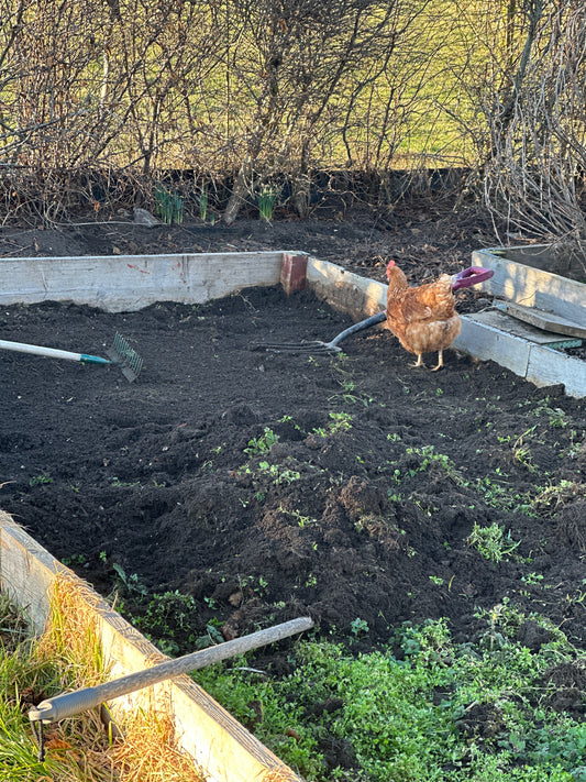 Farmhouse Kitchen Garden - Where do you start?