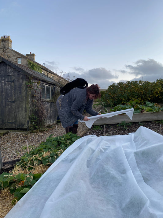 A beginners guide to gardening: A literal all the gear and no idea starting point