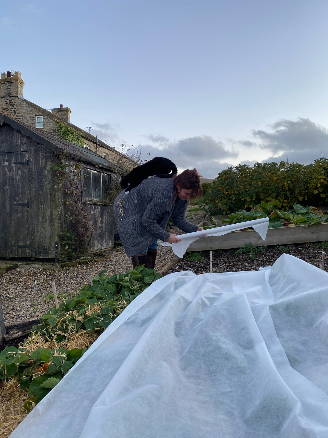 A beginners guide to gardening: A literal all the gear and no idea starting point